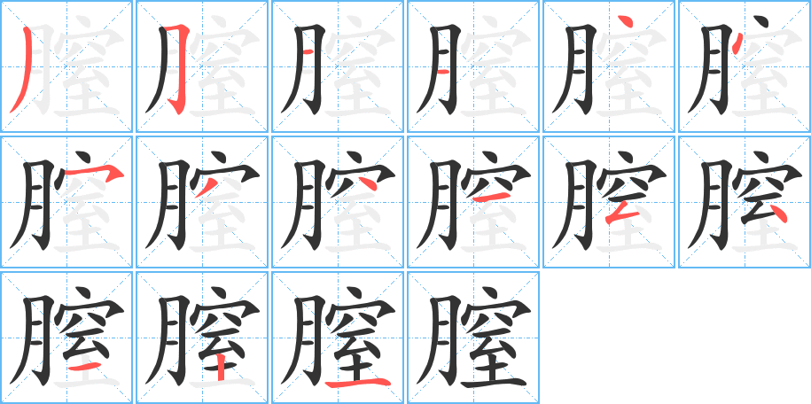 膣的笔顺