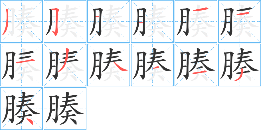 腠的笔顺