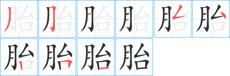 胎的笔顺