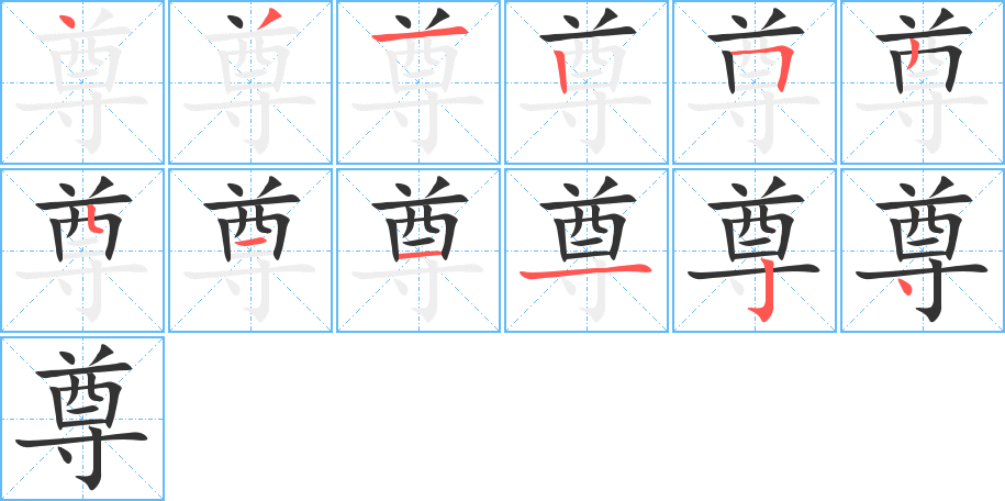 尊的笔顺