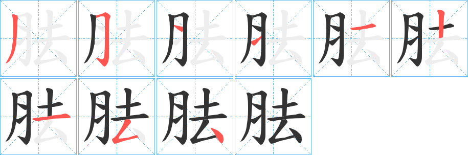 胠的笔顺