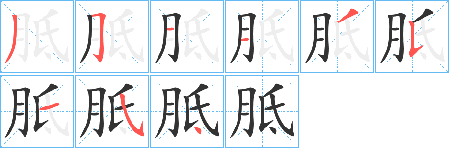 胝的笔顺