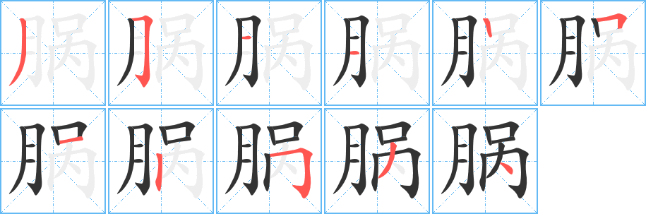 脶的笔顺