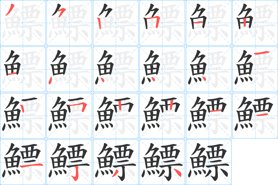 鰾的笔顺