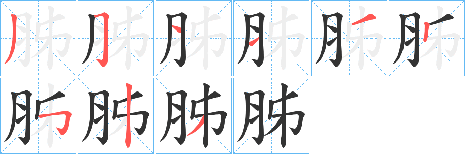胏的笔顺