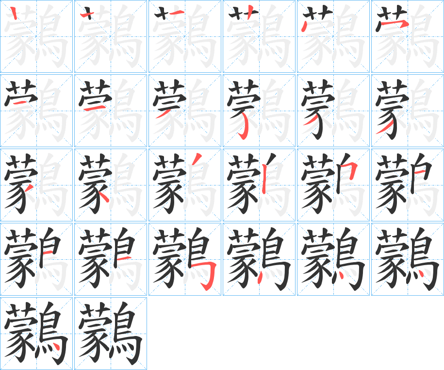 鸏的笔顺