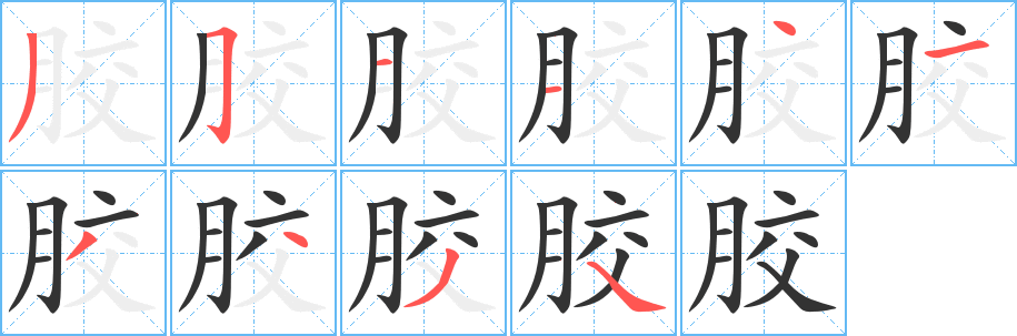 胶的笔顺