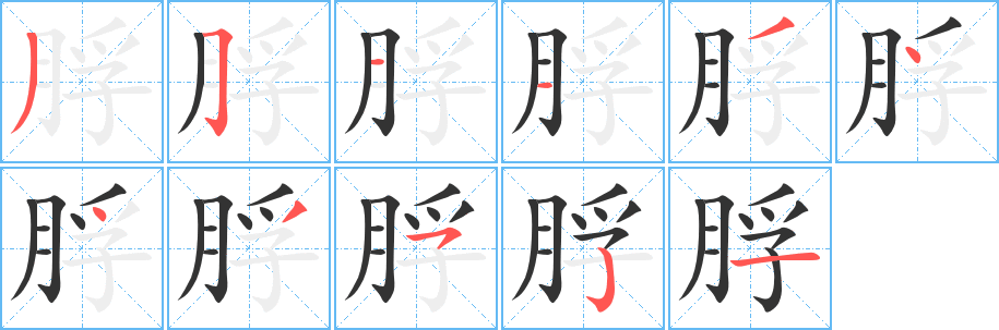 脬的笔顺