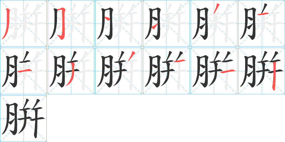 腁的笔顺