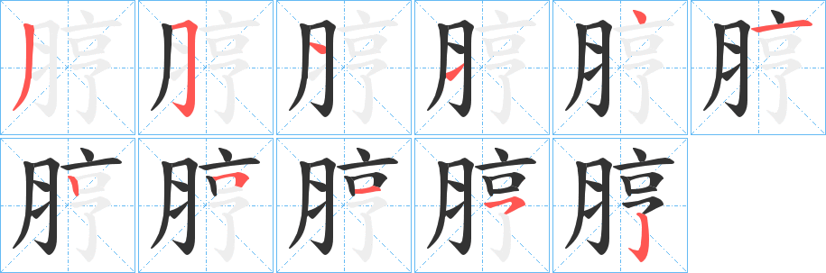 脝的笔顺