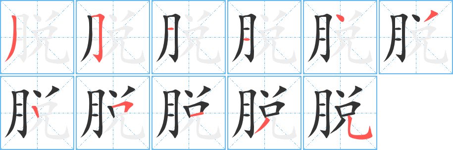 脱的笔顺