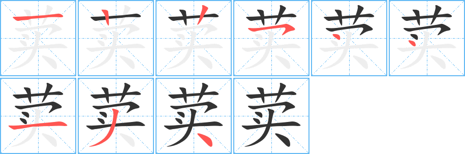 荬的笔顺
