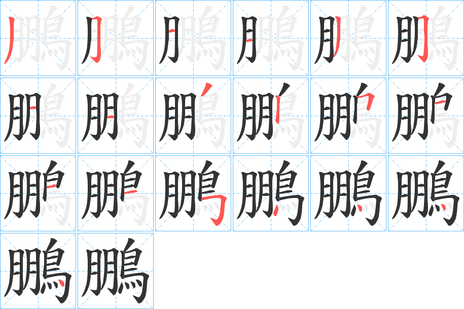 鵬的笔顺