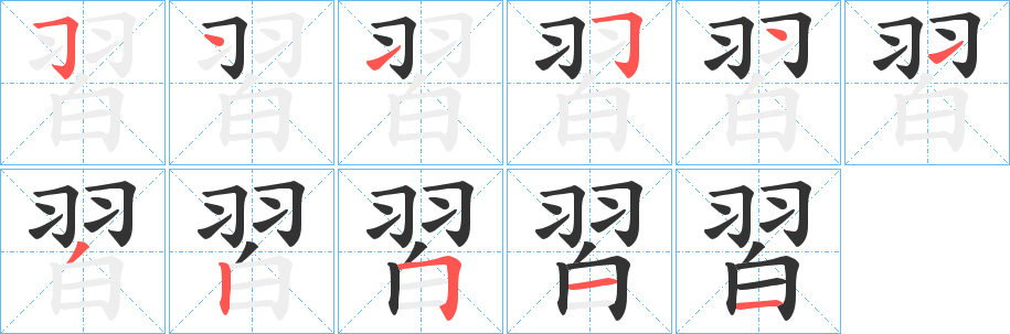 習的笔顺