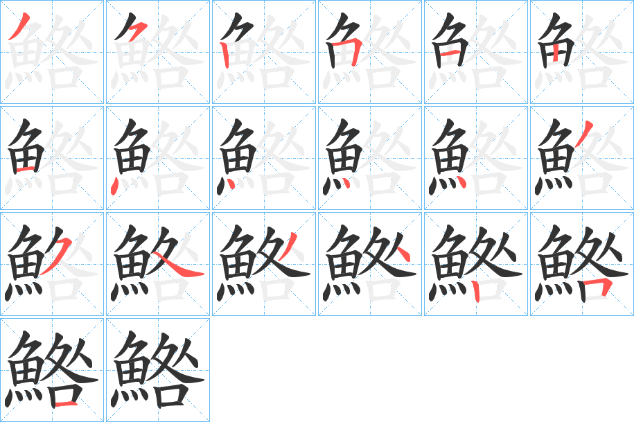 鯦的笔顺