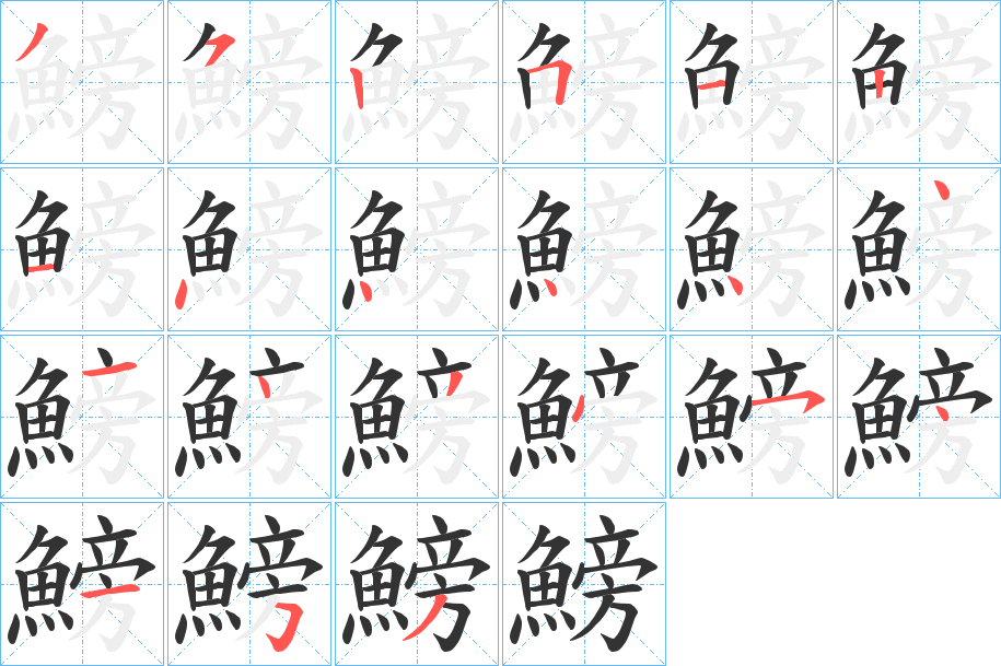 鰟的笔顺