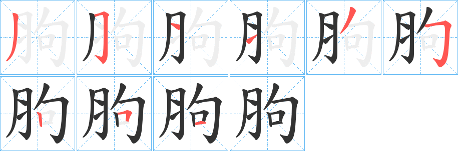 胊的笔顺