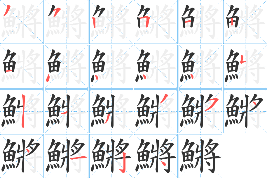 鱂的笔顺