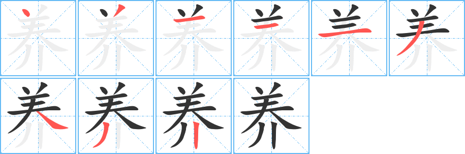 养的笔顺